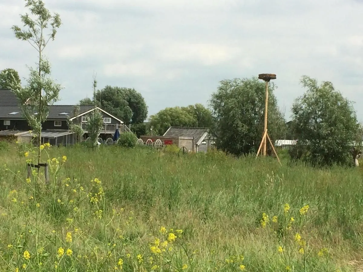 Nocleg ze śniadaniem Hoeve Cornelia Berkel en Rodenrijs Holandia